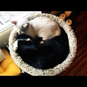 Meet your Posher, Nikki